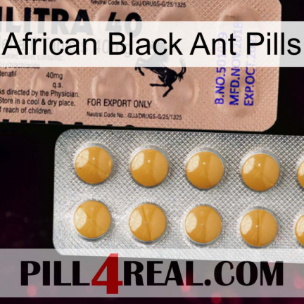 African Black Ant Pills 41